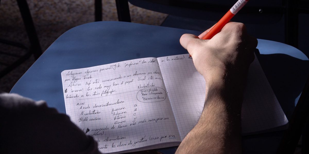Note-Taking Systems Compared: Finding the Method That Fits Your Brain
